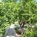 Kostas Family House Daire