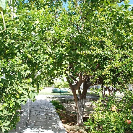 Kostas Family House Apartmán