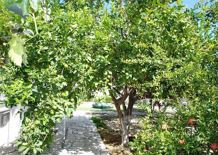 Kostas Family House Apartamento