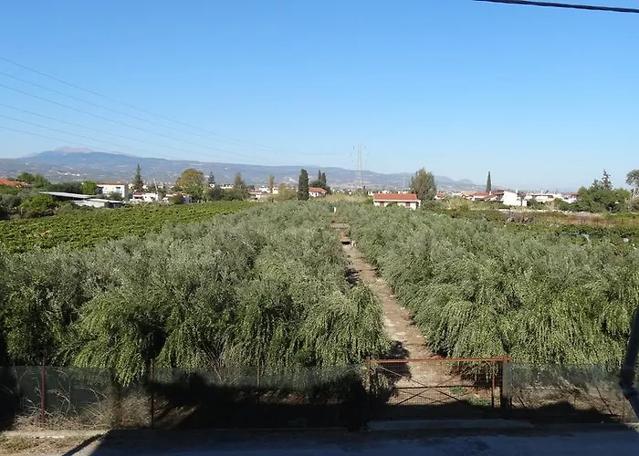 Kostas Family House Apartamento *